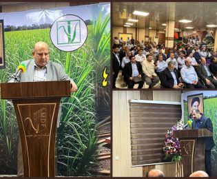 امروز «لوح سبز جنوب» افتخار صنعت کشور است