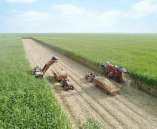 برداشت نیشکر از ابتدای فصل، ۱۰۰ درصد سبز انجام شده است/ امسال ناوگان برداشت نیشکر با ۹ هاروستر جدید تقویت شد