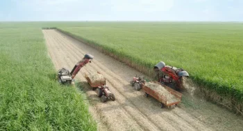 برداشت نیشکر از ابتدای فصل، ۱۰۰ درصد سبز انجام شده است/ امسال ناوگان برداشت نیشکر با ۹ هاروستر جدید تقویت شد