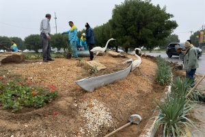 آغاز کاشت گل های فصلی متنوع و متناسب با آب و هوای شهر اهواز در سطح منطقه چهار