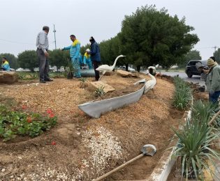 آغاز کاشت گل های فصلی متنوع و متناسب با آب و هوای شهر اهواز در سطح منطقه چهار