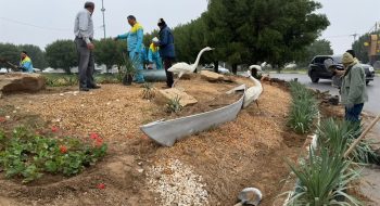 آغاز کاشت گل های فصلی متنوع و متناسب با آب و هوای شهر اهواز در سطح منطقه چهار